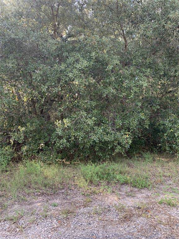 8864 Barbados Way - Photo 1