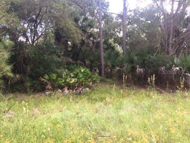 146 Landmark Avenue - Photo 1
