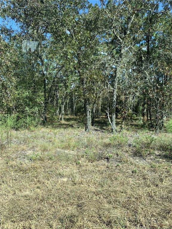 229 Paradise Boulevard - Photo 1 229 Paradise Boulevard - Photo 1