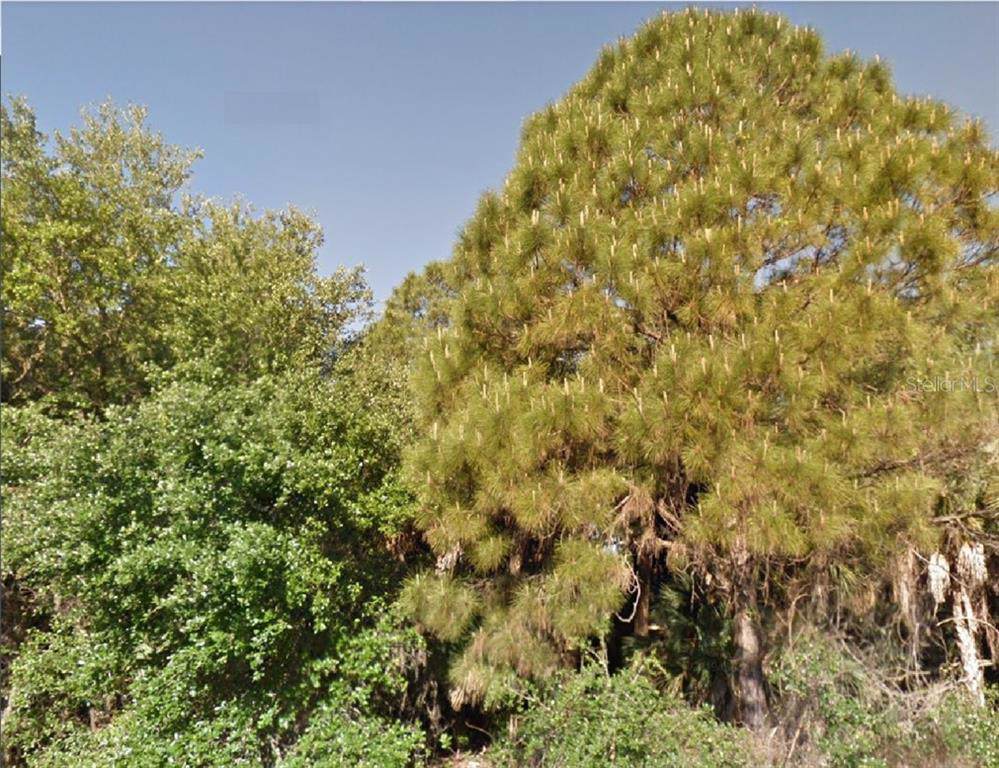 Pagado Lane - Photo 1