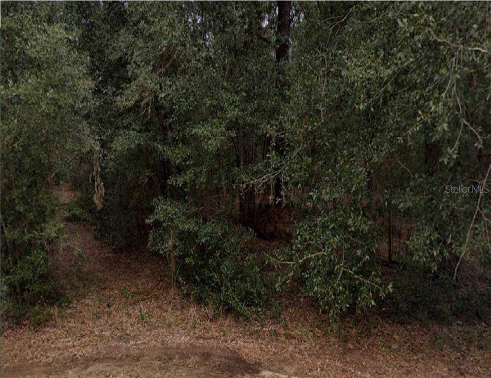 168TH Loop - Photo 1