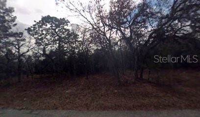 3074 Odier Street - Photo 1