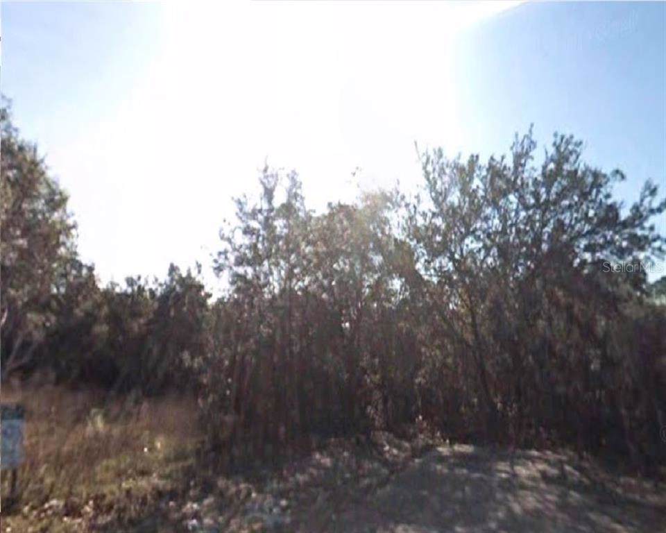 Cherry Paper Avenue - Photo 1 Cherry Paper Avenue - Photo 1