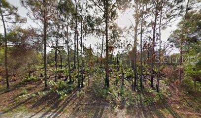 1381 Paragon Road - Photo 1
