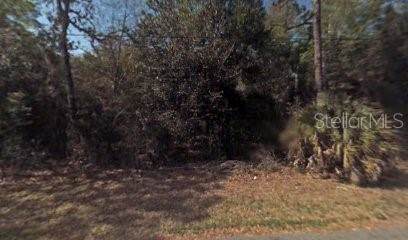 8570 Orangebud Terrace - Photo 1