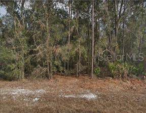 Norman Avenue - Photo 1
