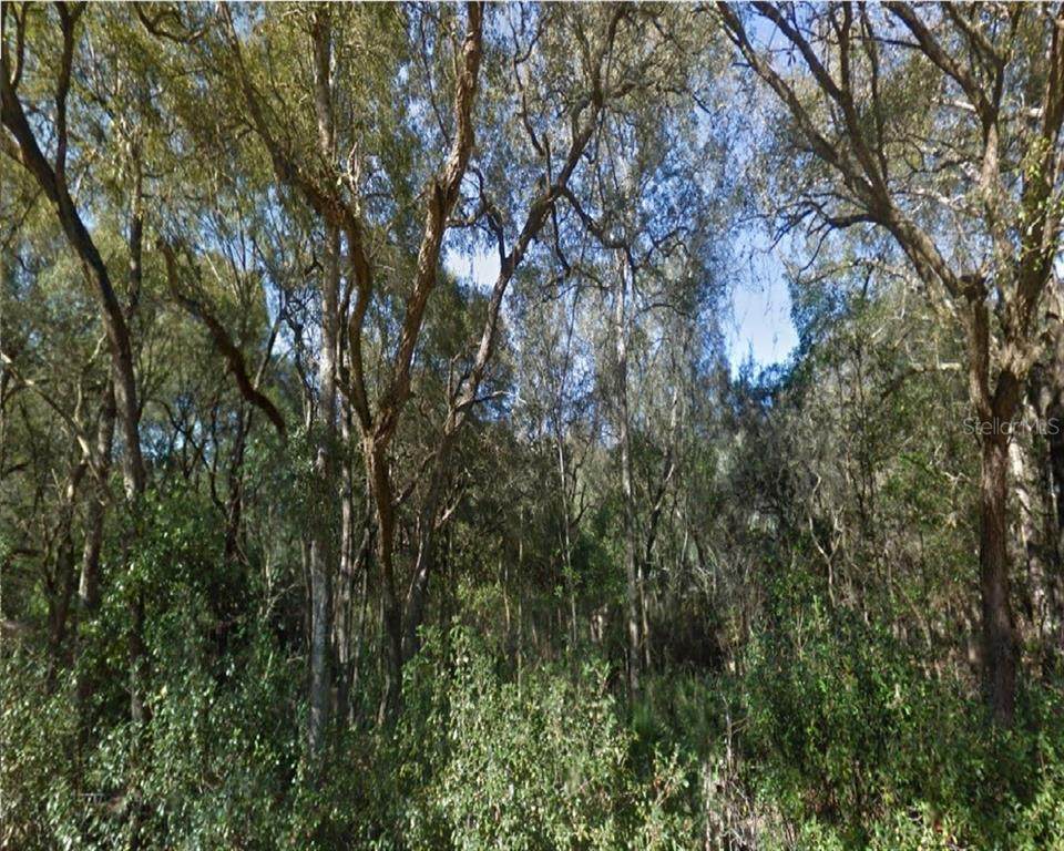 168TH Lane - Photo 1