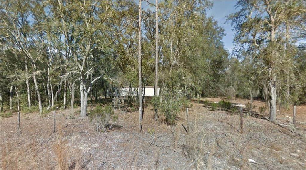 9631 85 Street - Photo 1 9631 85 Street - Photo 1