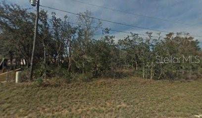 2180 Bonita Road - Photo 1
