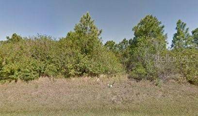 Orlando Boulevard - Photo 1