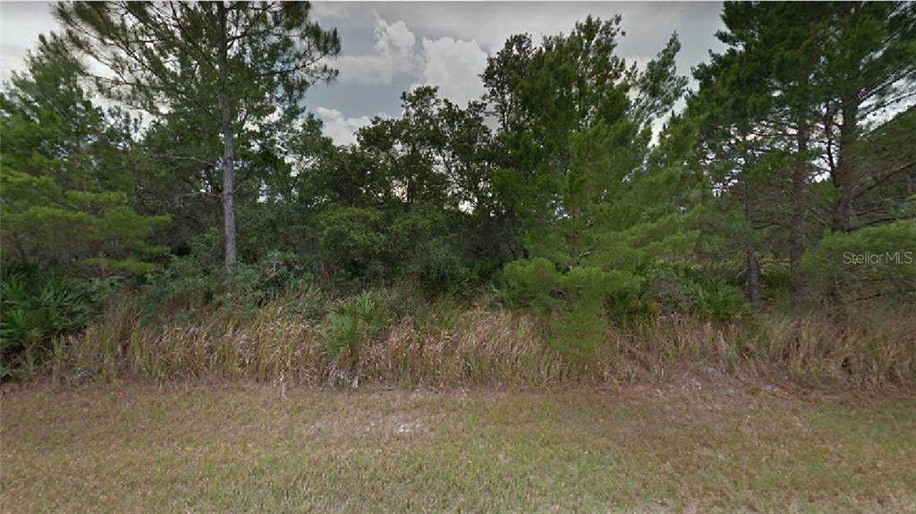 8119 Campo Sano Street - Photo 1