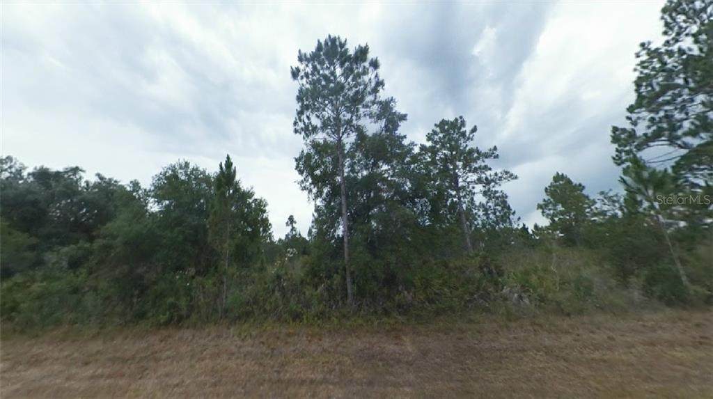 20 Valencia Drive - Photo 1