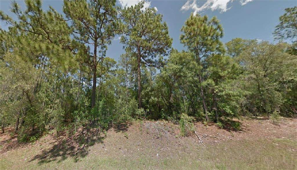 8695 Travis Drive - Photo 1