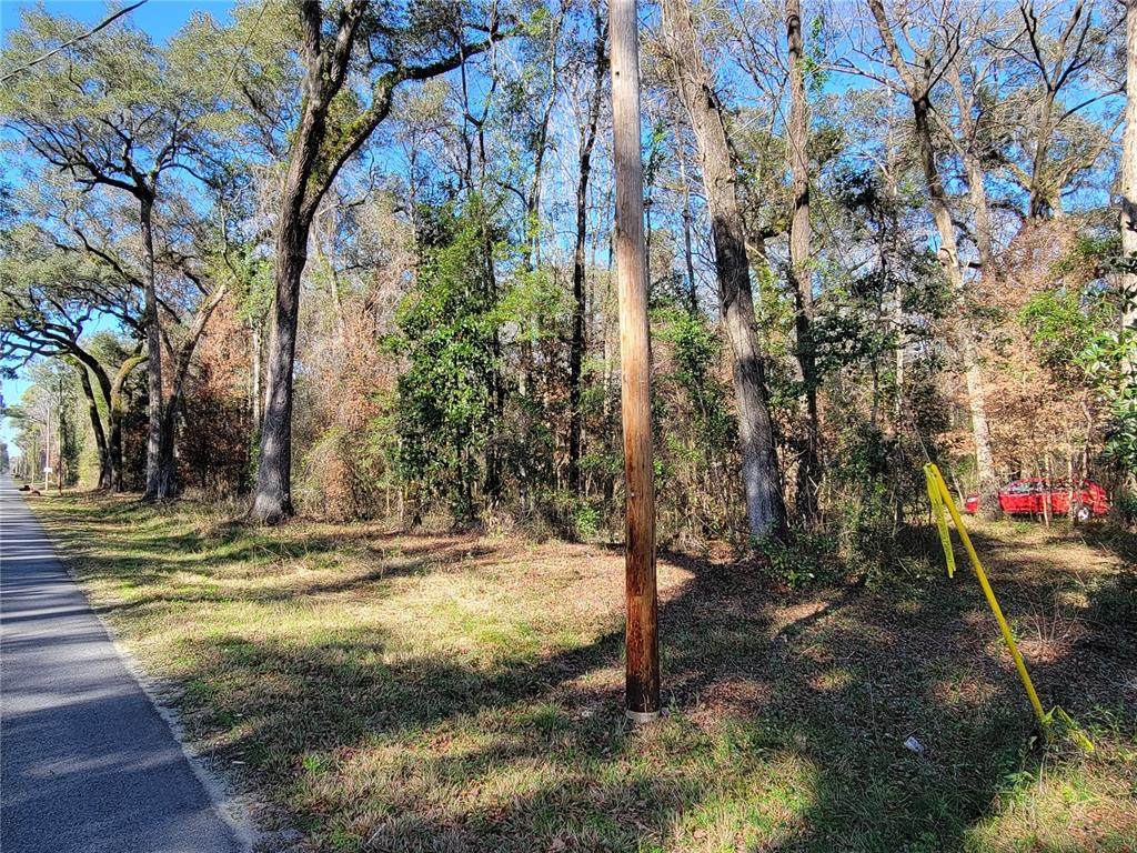 Newark Drive - Photo 1