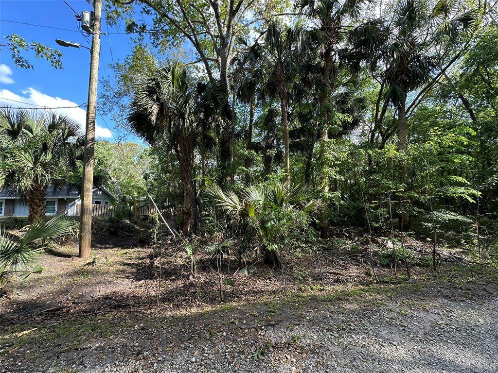 Belinda Drive - Photo 1