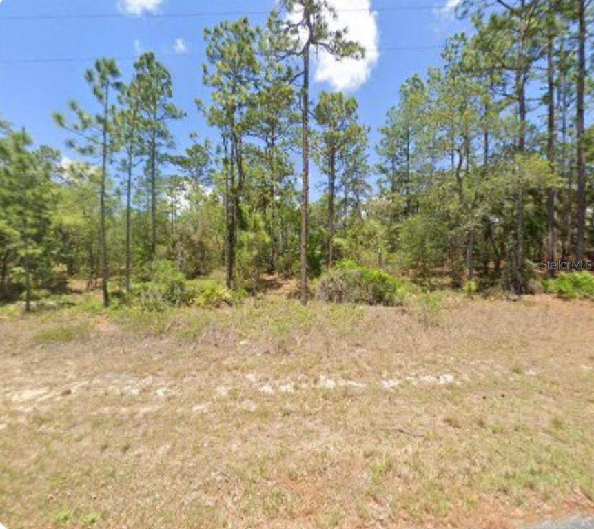 3271 Montgomery Lane - Photo 1