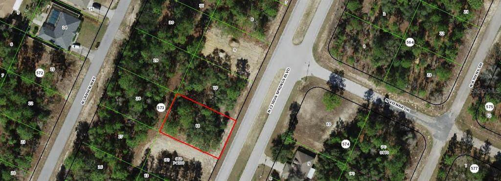 8900 Citrus Springs Boulevard - Photo 1