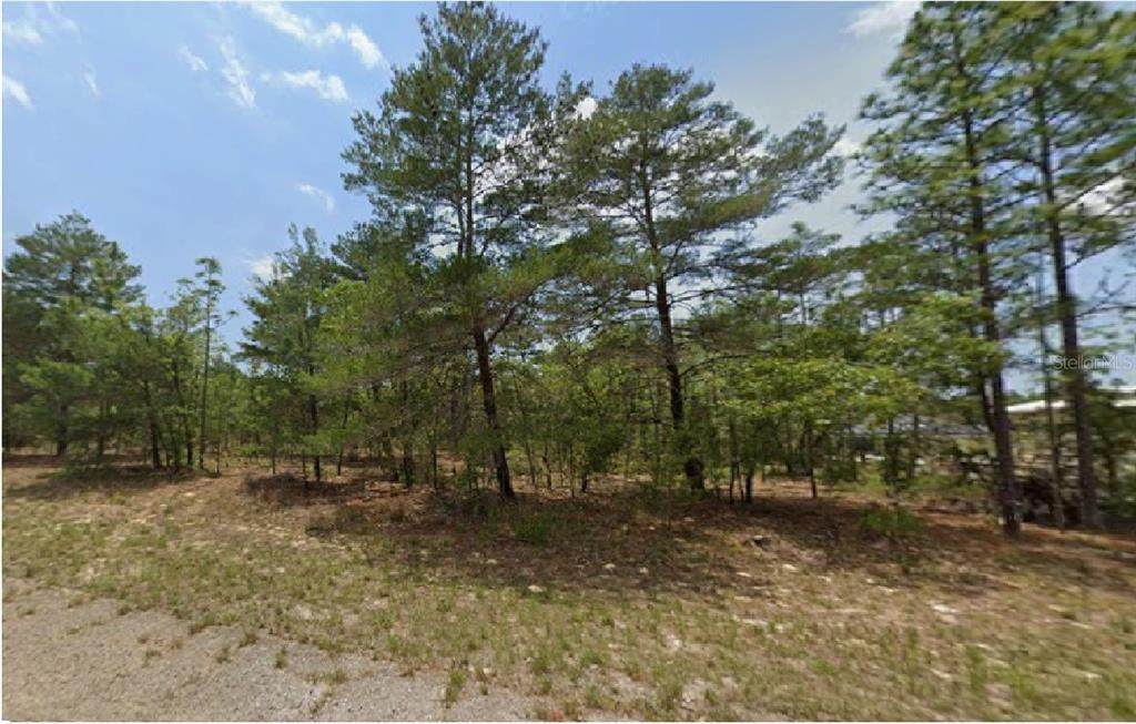 6320 Chestnut Terrace - Photo 1