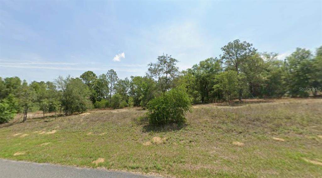 2047 Magenta Drive - Photo 1