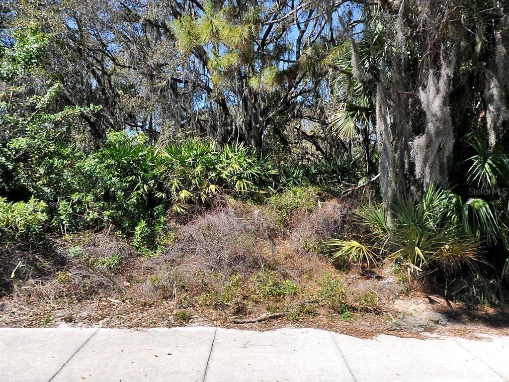  Channing Avenue - Photo 1
