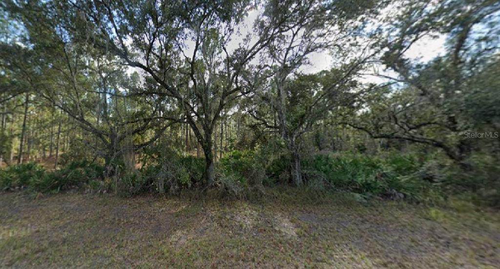  Oleander Drive - Photo 1