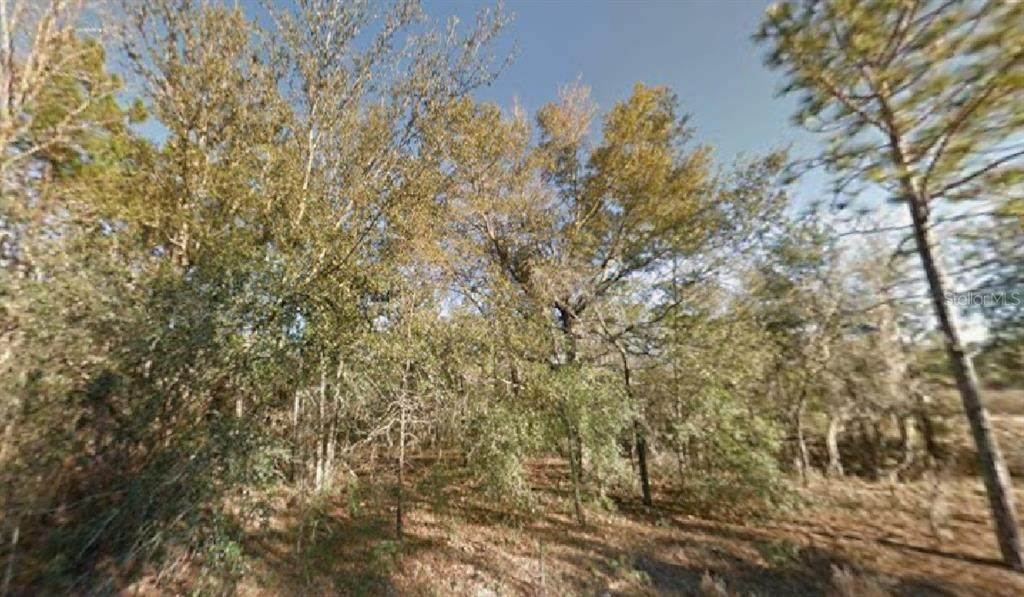  154TH Avenue - Photo 1