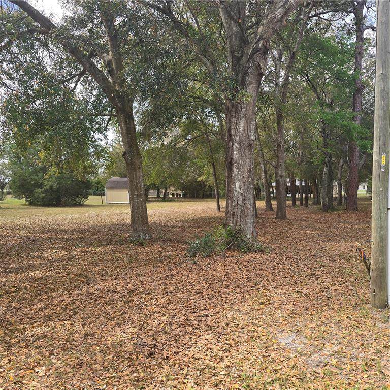  92ND Avenue - Photo 1