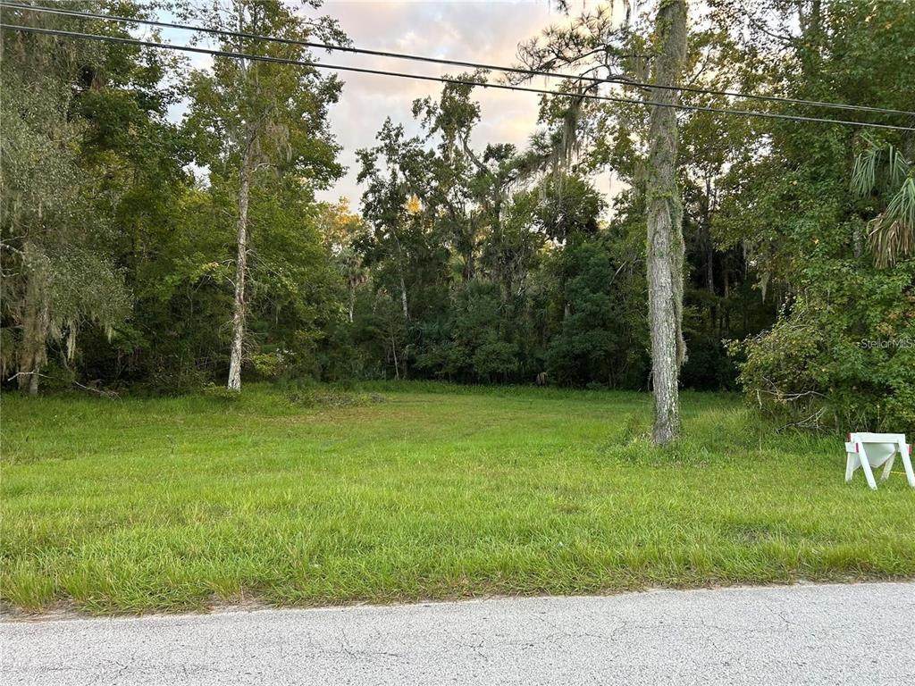 24916 Butler Street - Photo 1