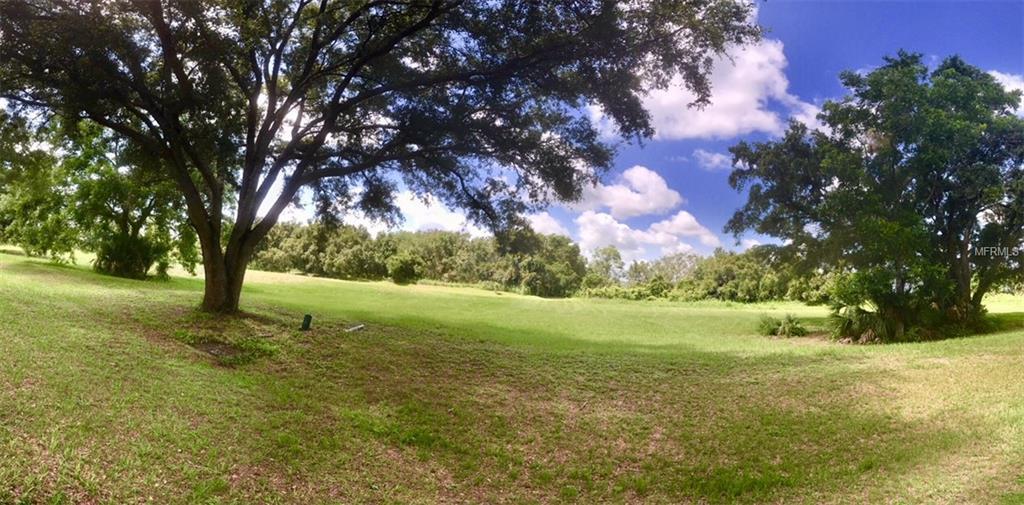 Royal Palm Drive - Photo 1