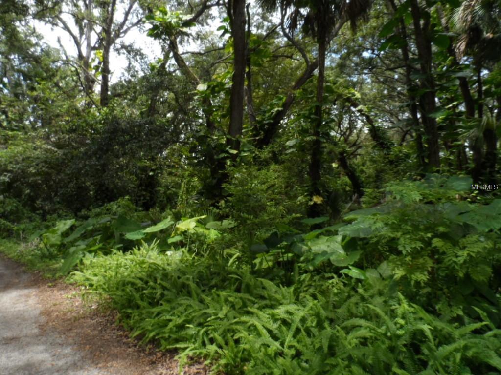 Avalona Dr - Photo 1