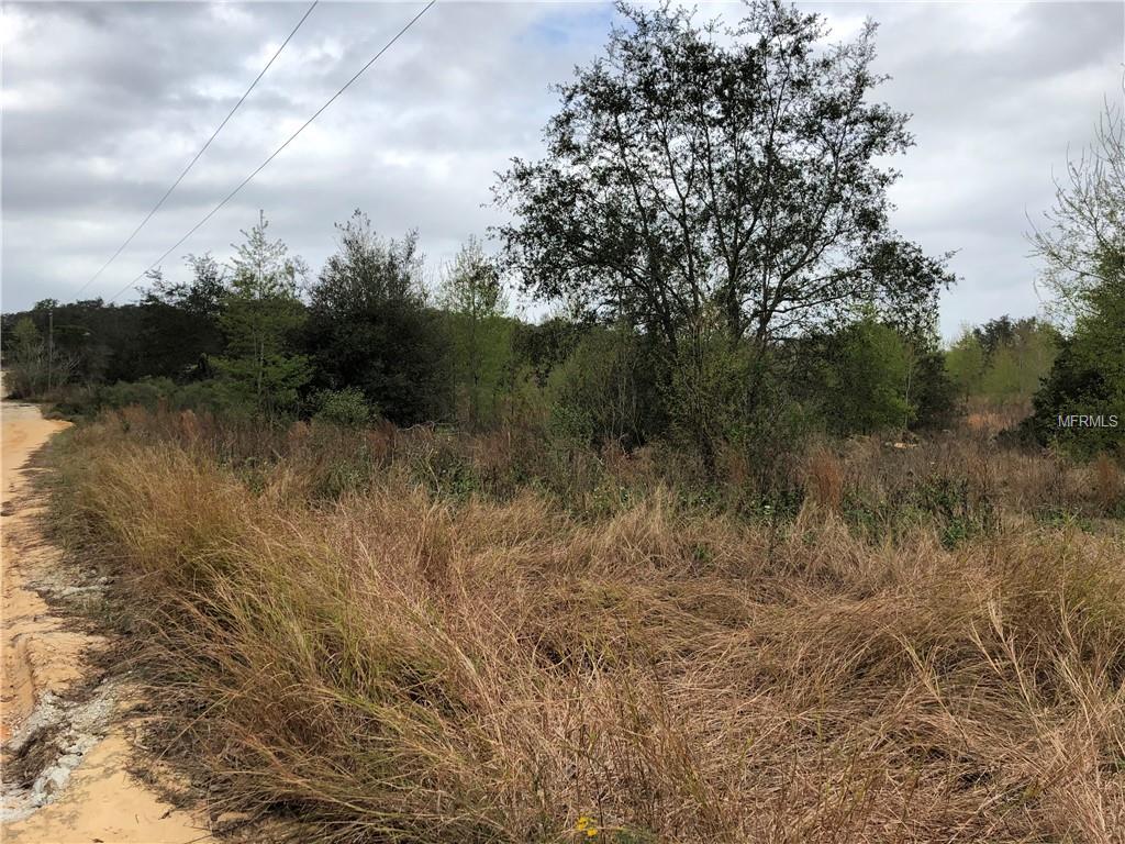 Lost Lake Road - Photo 1
