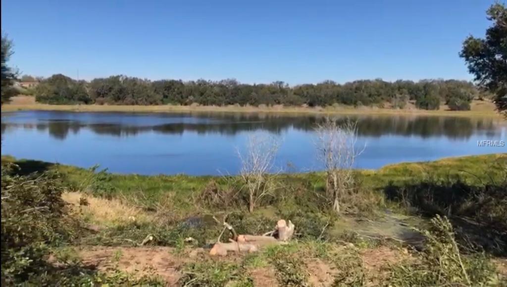 0 Lake Gordon Drive - Photo 1