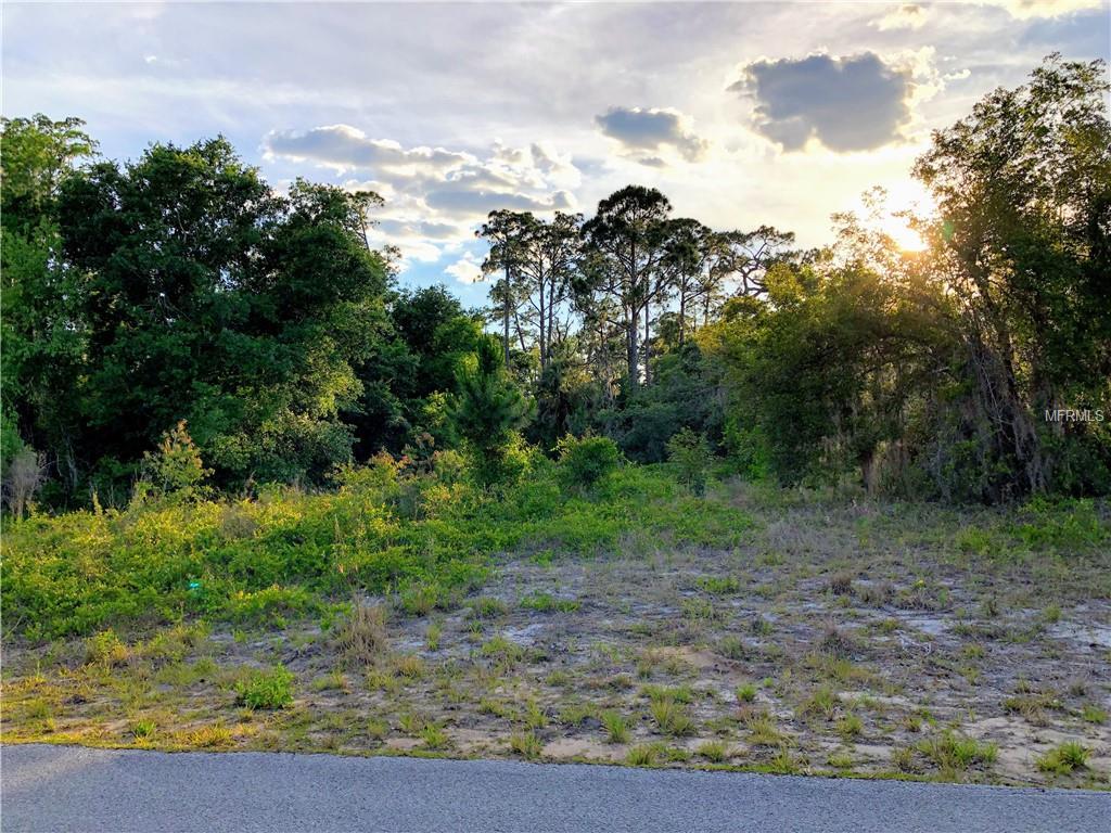 4113 Orchid Boulevard - Photo 1