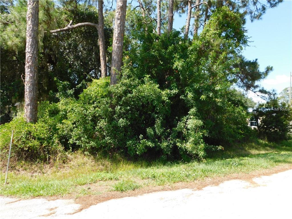 Central Avenue - Photo 1