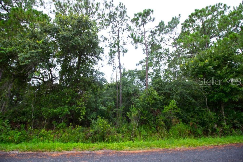 Midland Drive - Photo 1