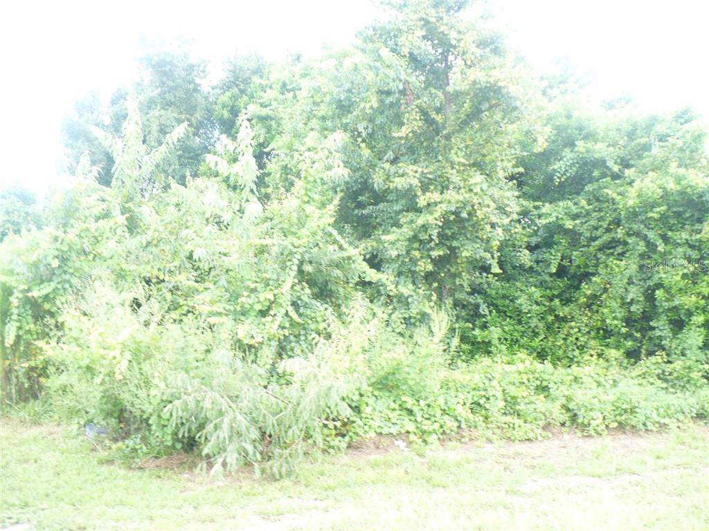 2865 Cottondale Drive - Photo 1 2865 Cottondale Drive - Photo 1