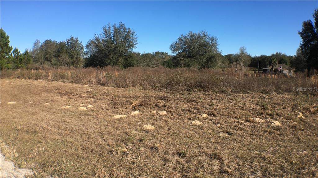 8017 Terrel Point - Photo 1
