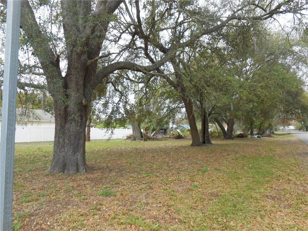 531 Pine St - Photo 1