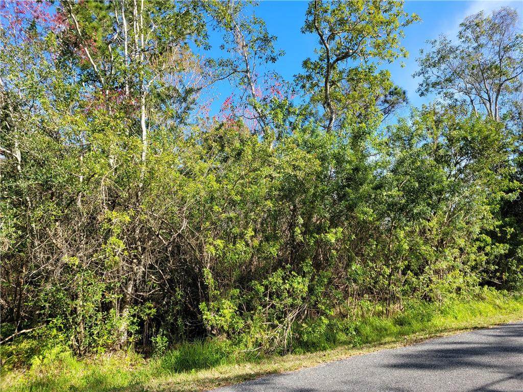 4785 Lillian Black Road - Photo 1