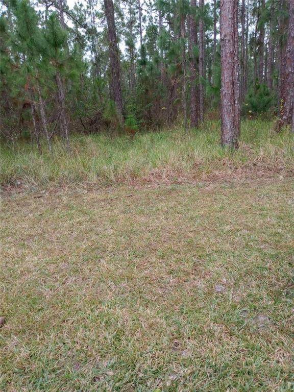 Poinciana Dr - Photo 1