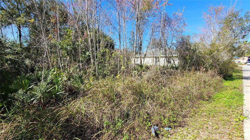 547 Kingfisher Drive - Photo 1
