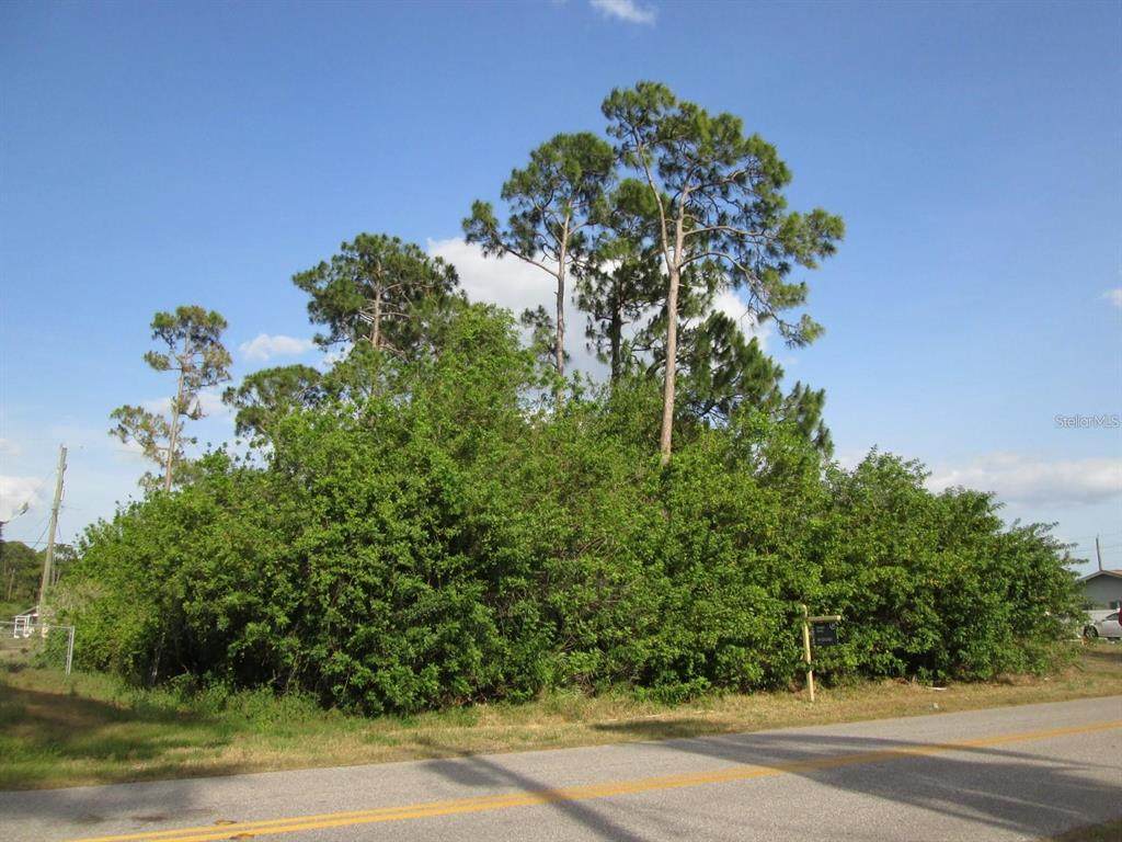 3100 Crowder Street - Photo 1