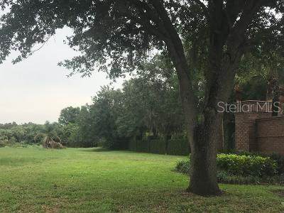 1517 Sunset Pointe Place - Photo 1