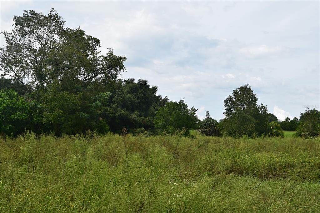 Apshawa Drive - Photo 1