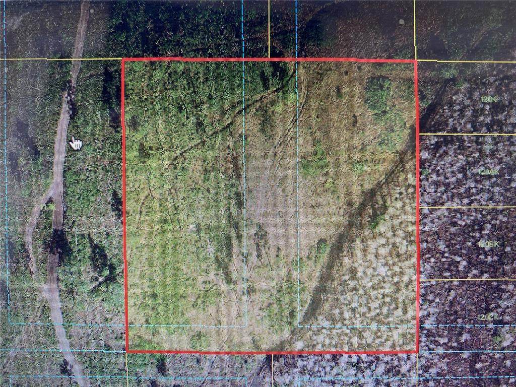 Holopaw Groves Road - Photo 1