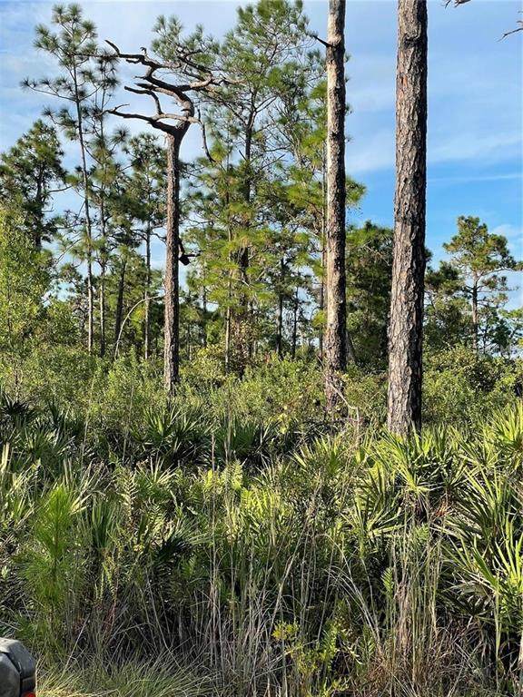 River Ranch,Frostproof, - Photo 1