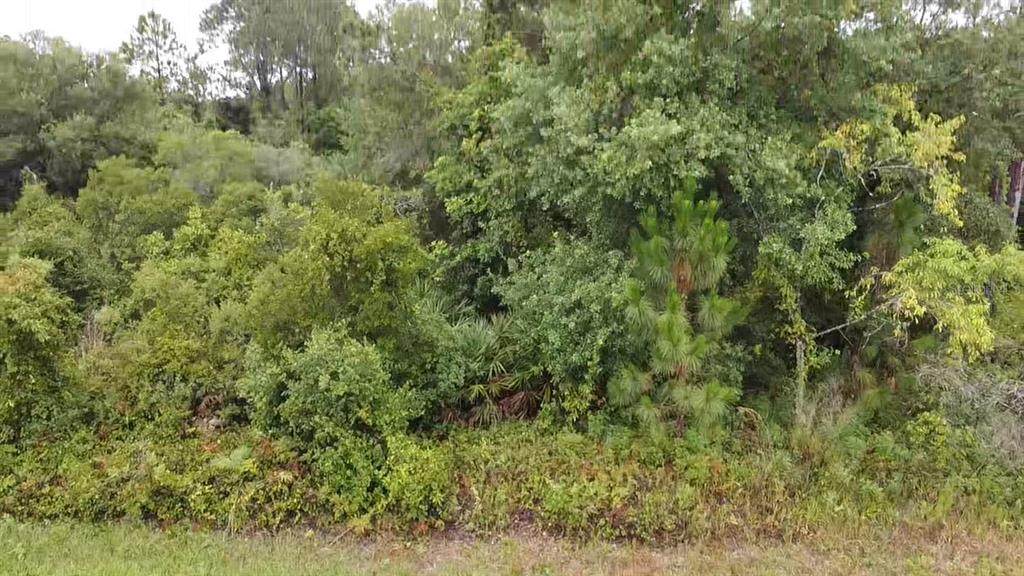 210 Spoonbill Lane - Photo 1
