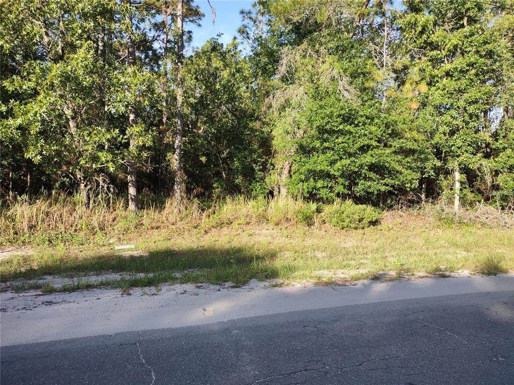 Sw 148Th Pl Rd, Ocala - Photo 1