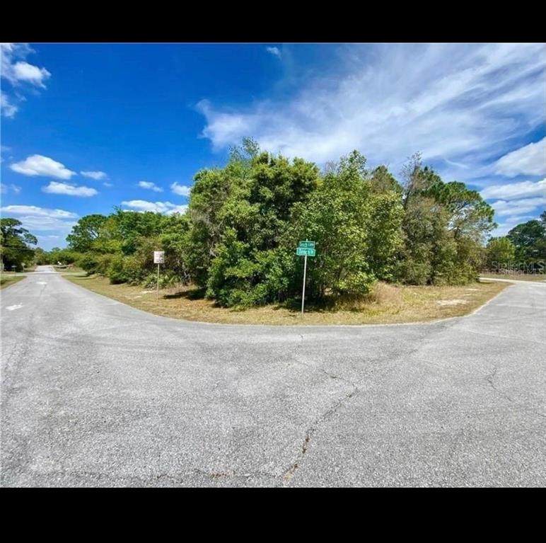 1705 Tench Lane - Photo 1