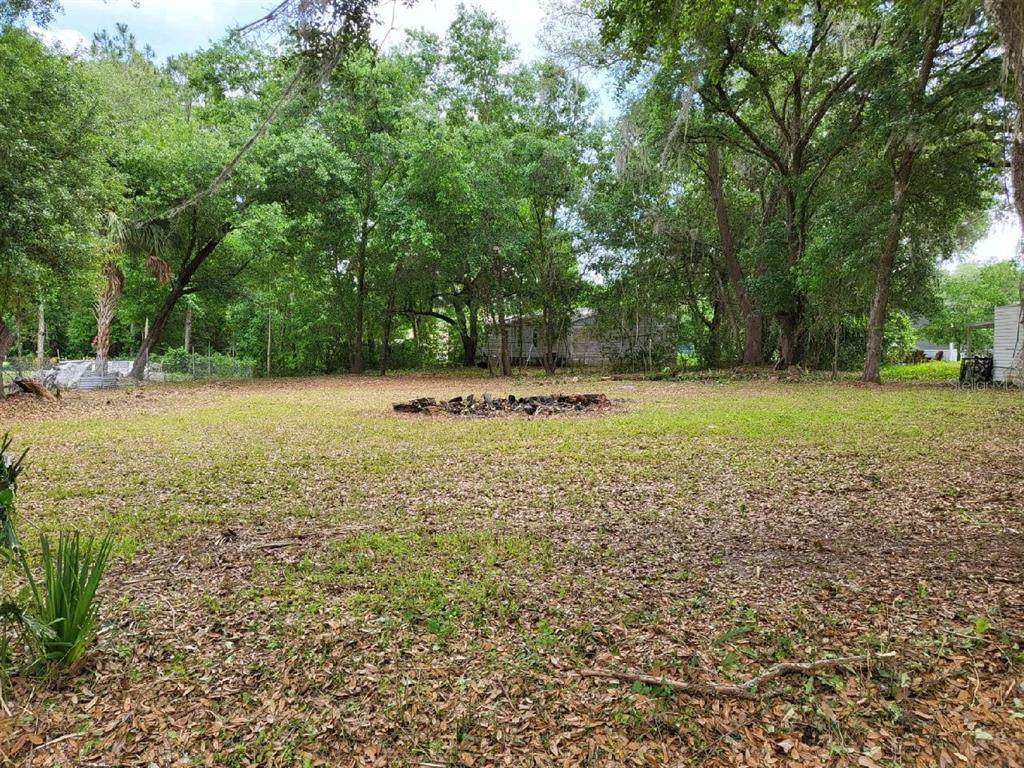 6672 Old Tampa Highway - Photo 1